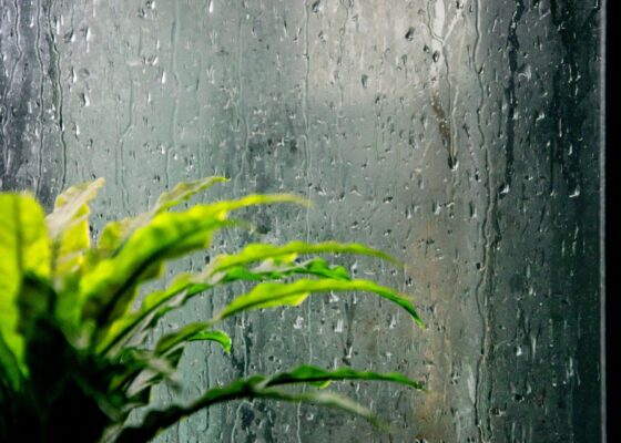 初めての家づくり：静岡県の梅雨を快適な住まいにする方法